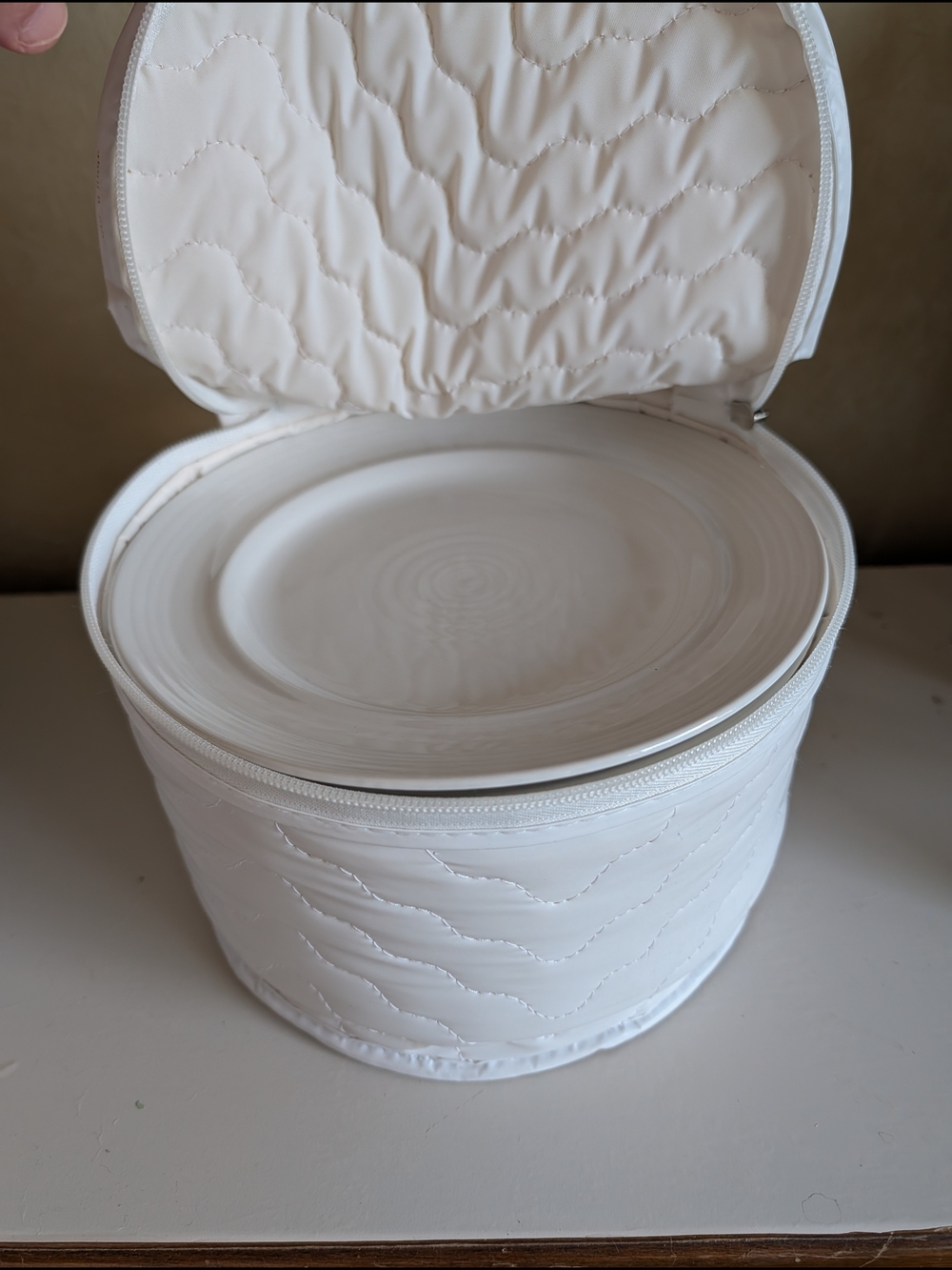 Vintage Set Of 12 Pier 1 Solid White Dessert Plates With  Storage Case 8" Each